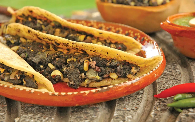 IMAGEN DE QUESADILLA DE HUITLACOCHE